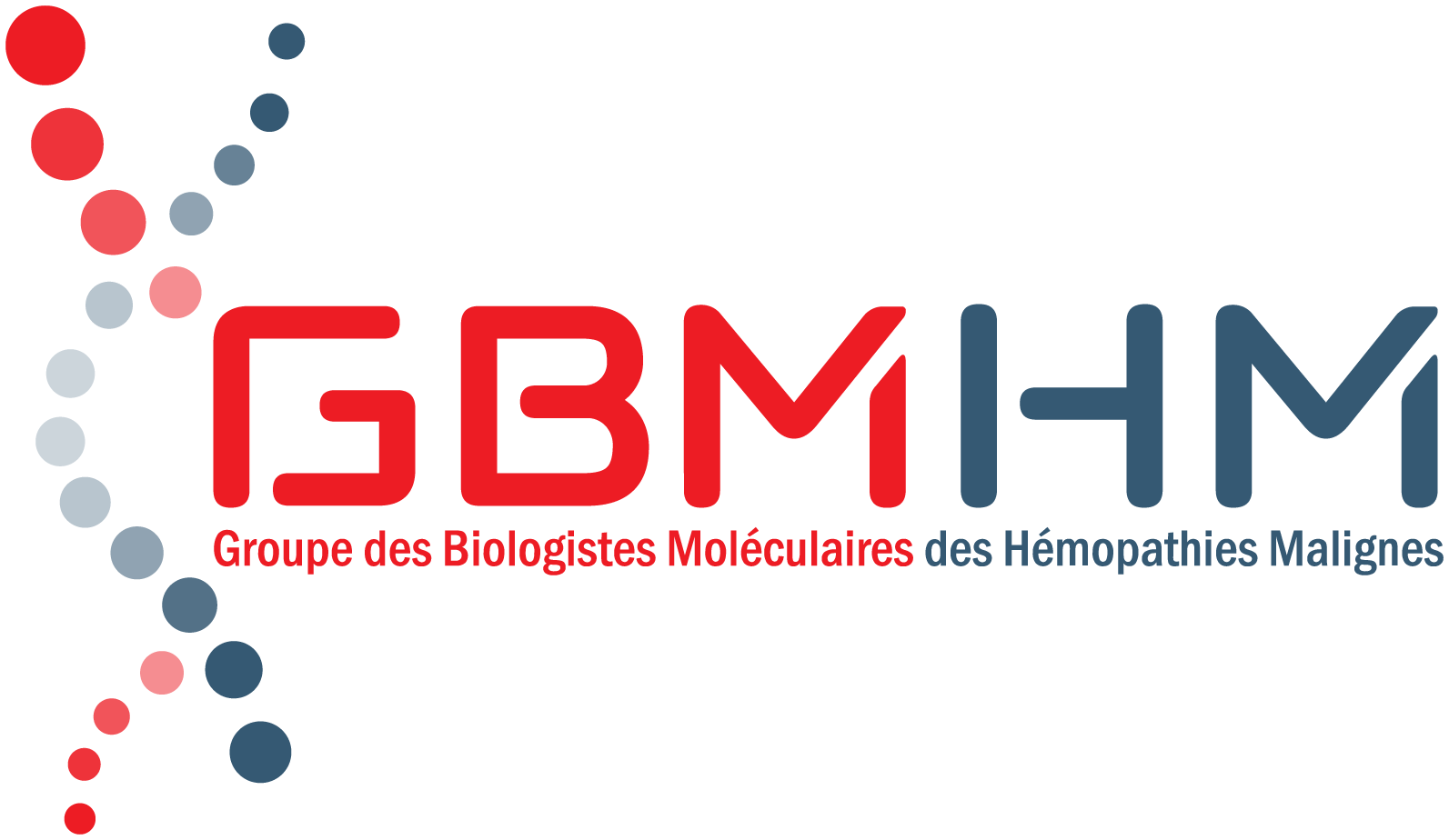 Logo Association GBMHM
